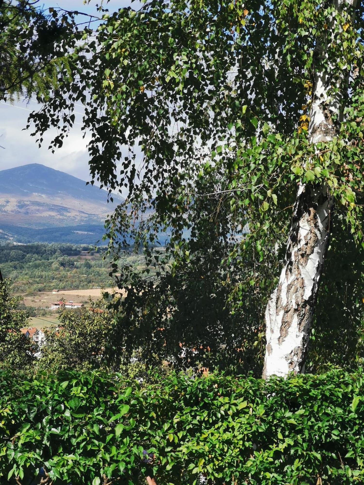 Vila Breza Soko Banja Cameră foto
